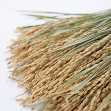 画像をギャラリービューアに読み込む, 上甲清作 しめ飾り