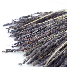 画像をギャラリービューアに読み込む, 上甲清作 しめ飾り